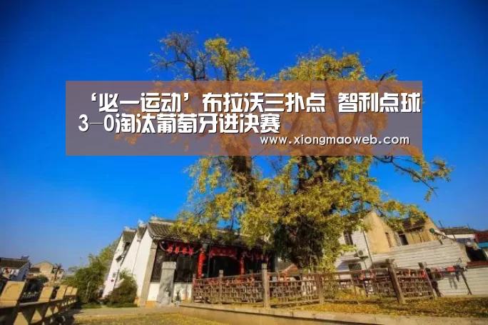 ‘必一运动’布拉沃三扑点 智利点球3-0淘汰葡萄牙进决赛(图2) bsports必一运动