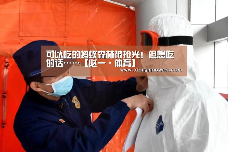 可以吃的蚂蚁森林被抢光!但想吃的话……【必一·体育】(图3) 可以吃的蚂蚁森林被抢光!但想吃的话……【必一·体育】(图3)