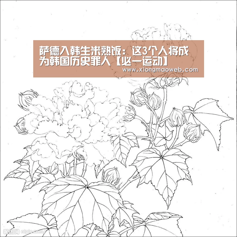 萨德入韩生米熟饭:这3个人将成为韩国历史罪人【必一运动】(图2) 萨德入韩生米熟饭:这3个人将成为韩国历史罪人【必一运动】(图2)