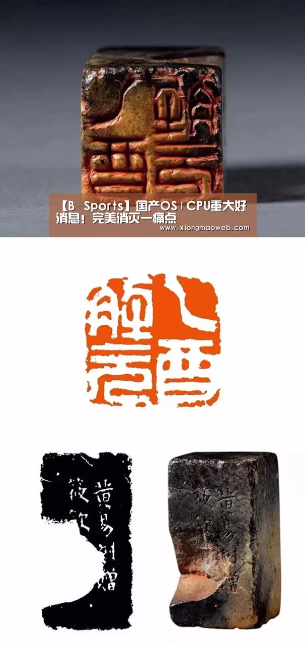 【B-Sports】国产OS+CPU重大好消息!完美消灭一痛点(图1) 必一运动
